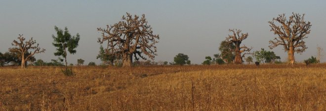 [7] 2010_01_12_Togo, a720, 2 images, IMG_3507 - IMG_3508 - 5132x1773 - SCUL-Smartblend